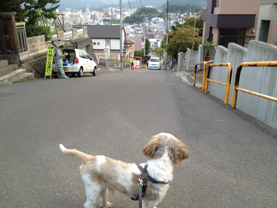 hagemashinosaka