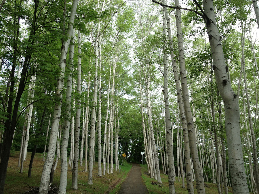 otarukouen00
