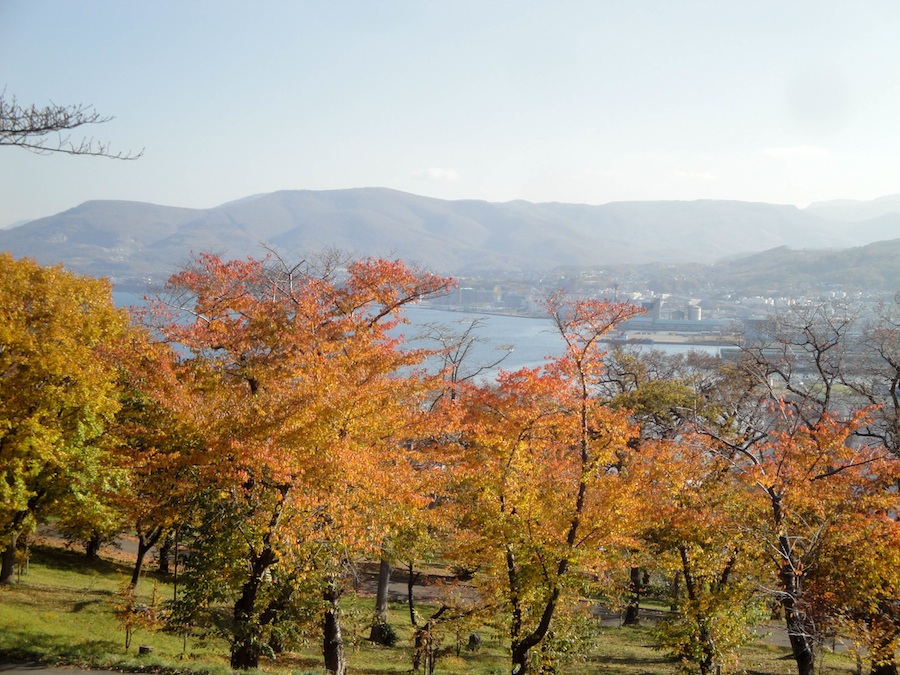 fall_colors