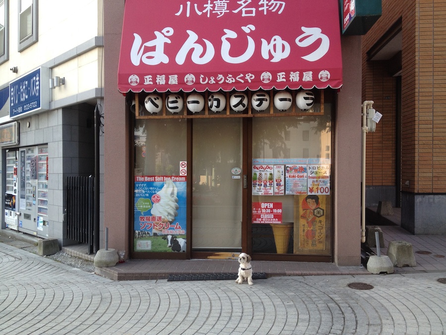 panjyuu
