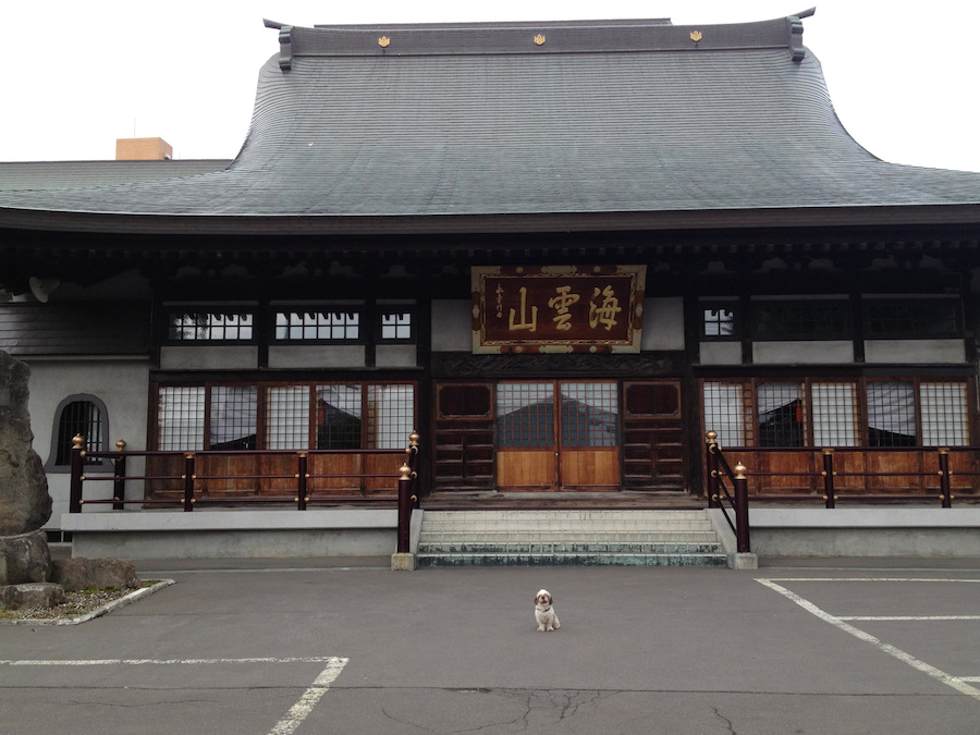 ryutokuji_templeB
