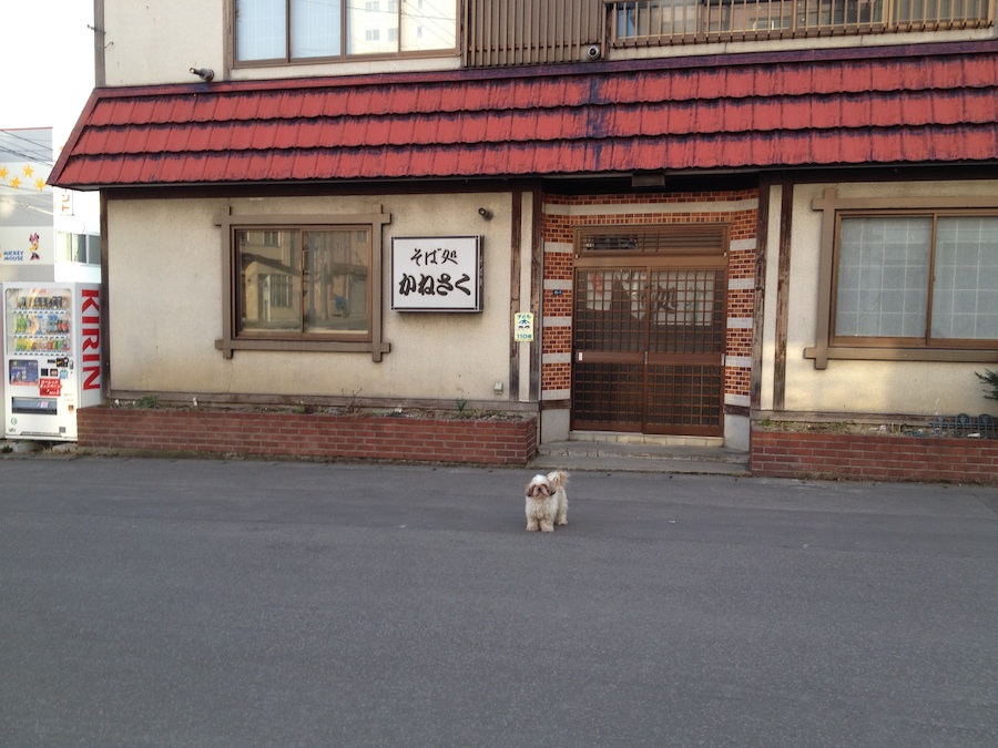 kanesaku