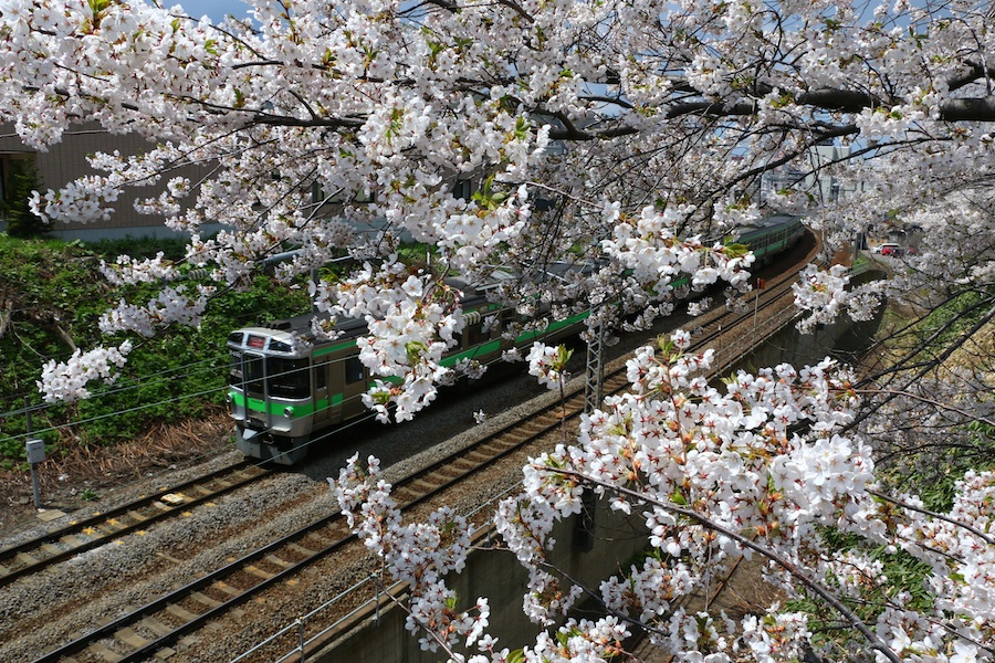 hanazonobashi