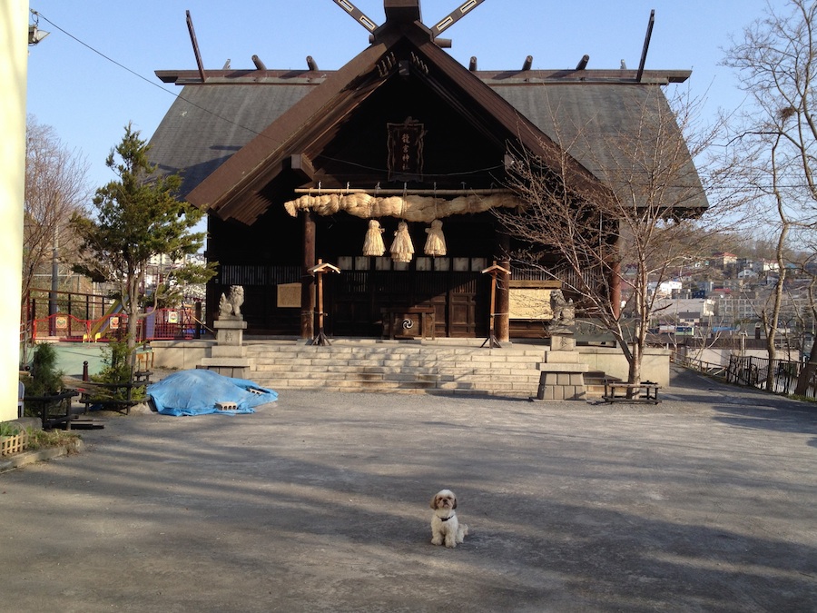 ryugujinjya_shrine00
