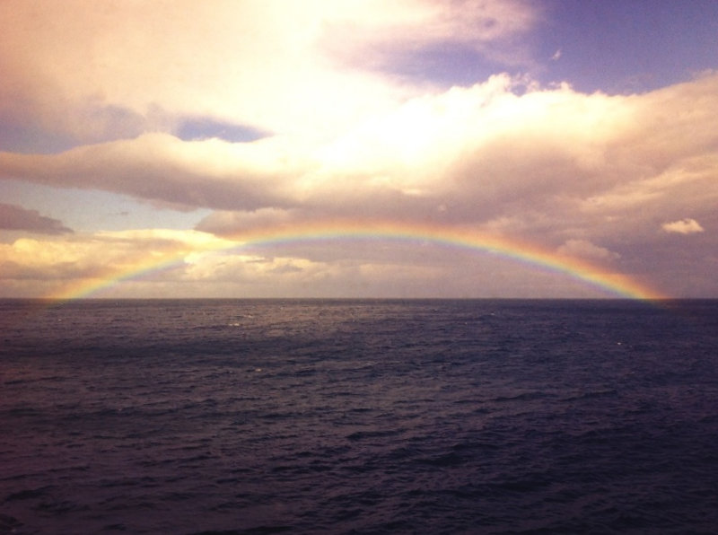 rainbowR