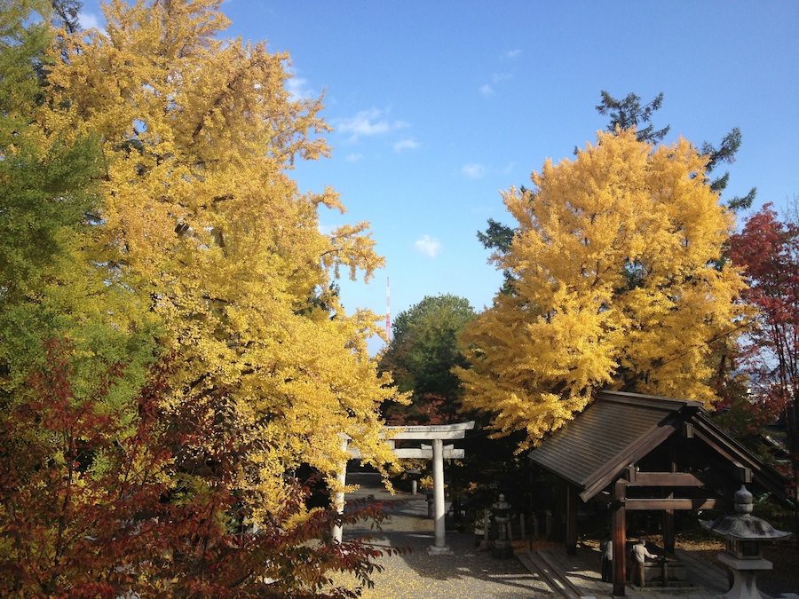 sumiyoshi_shrine_autumn