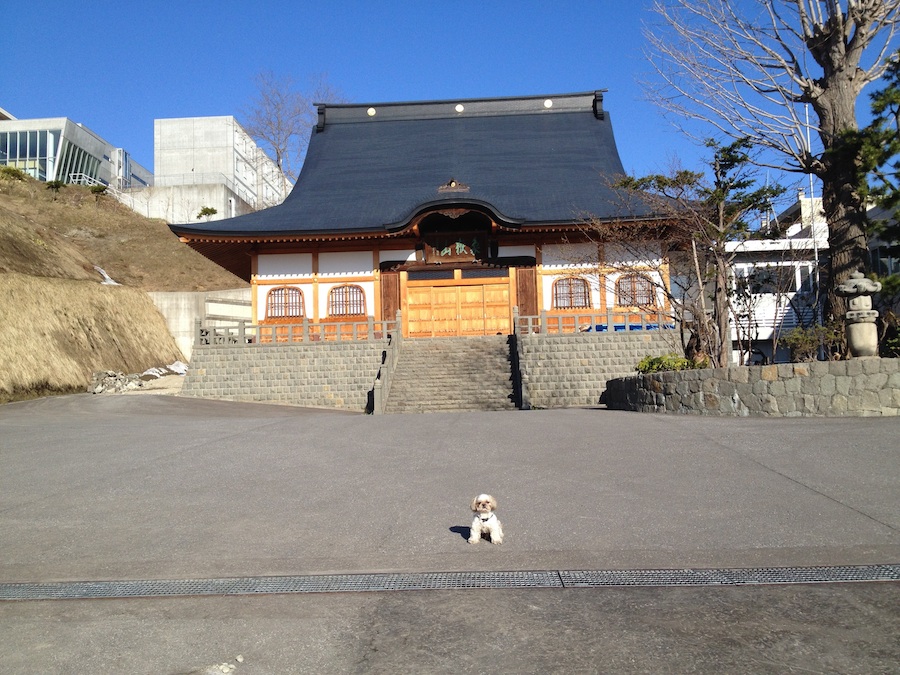 syouhouji_temple