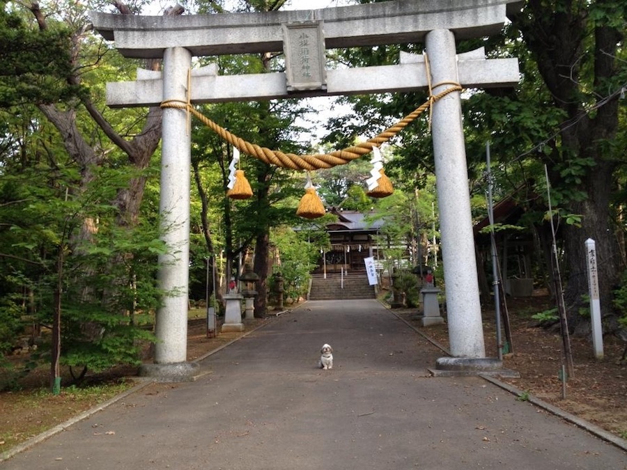 otaru_inari_shrine